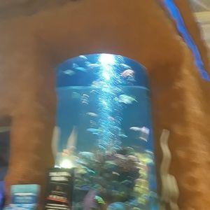 Meet your Posher, Jeffrey